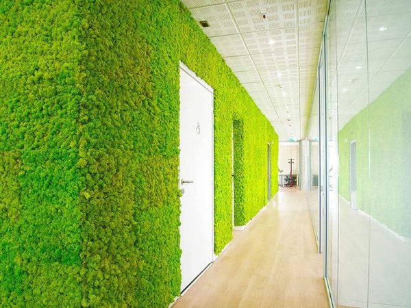 Lungo corridoio con parete verde